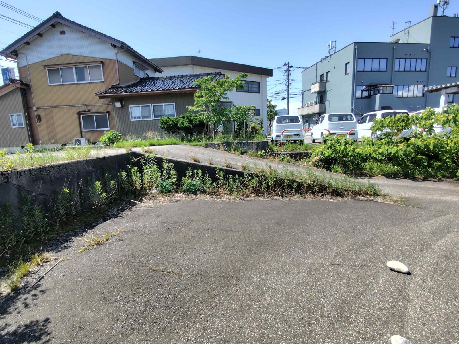 スライド画像
