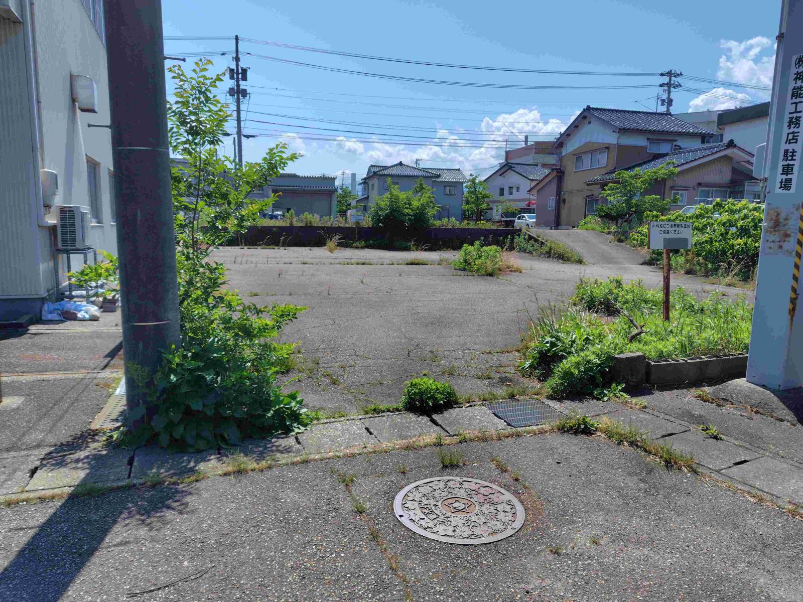 スライド画像
