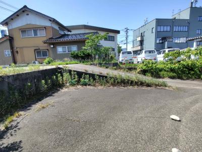 スライド画像